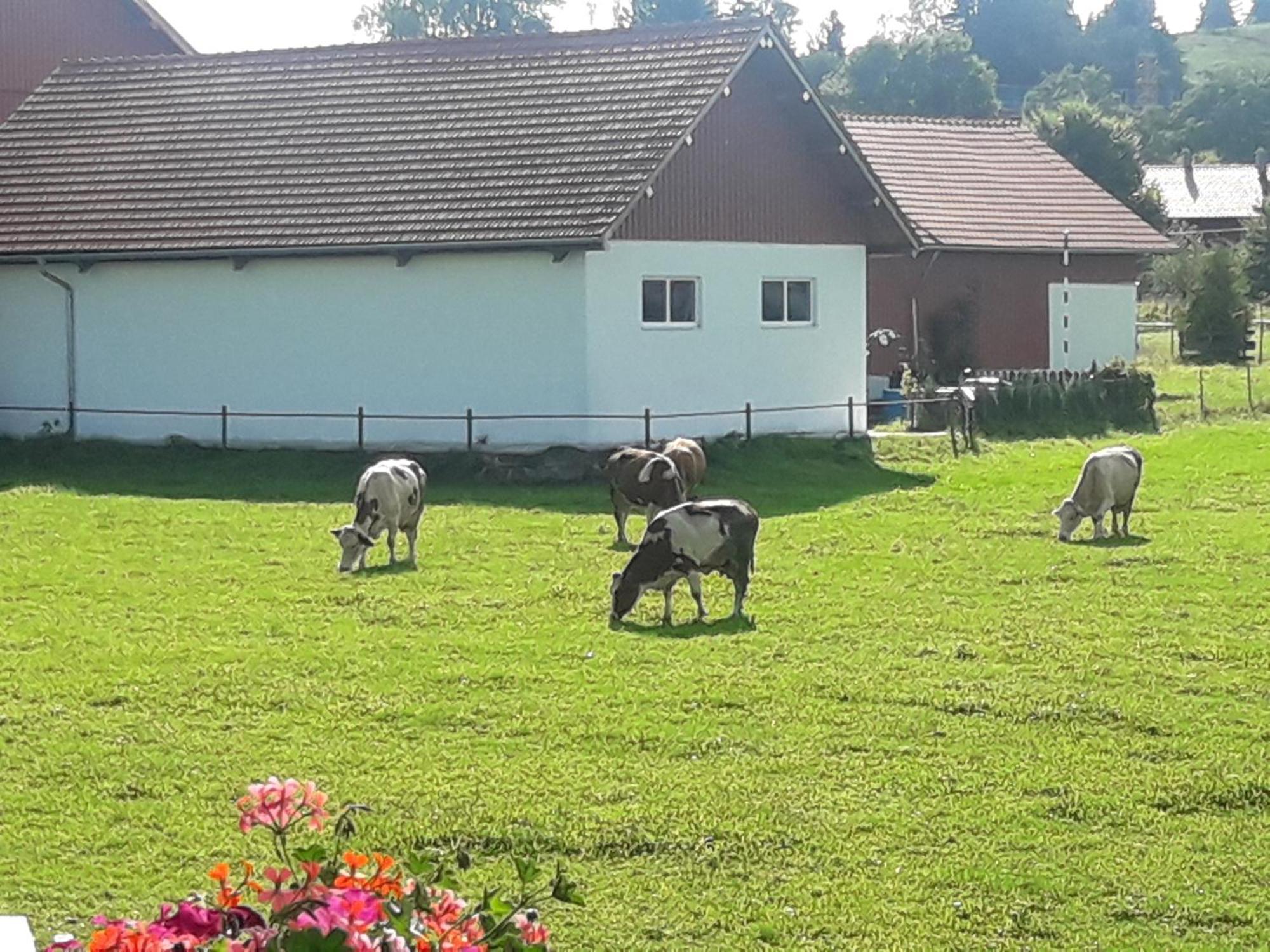 Gaestehaus Reisacher - Einzelzimmer Peiting Kültér fotó